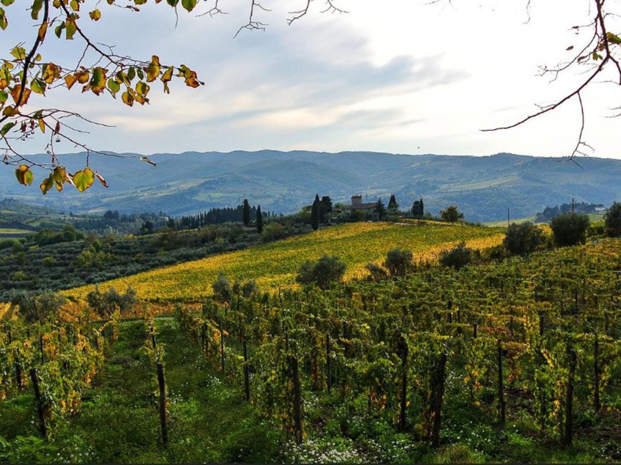 Holiday Home La Torre By Interhome Lucolena in Chianti Zewnętrze zdjęcie