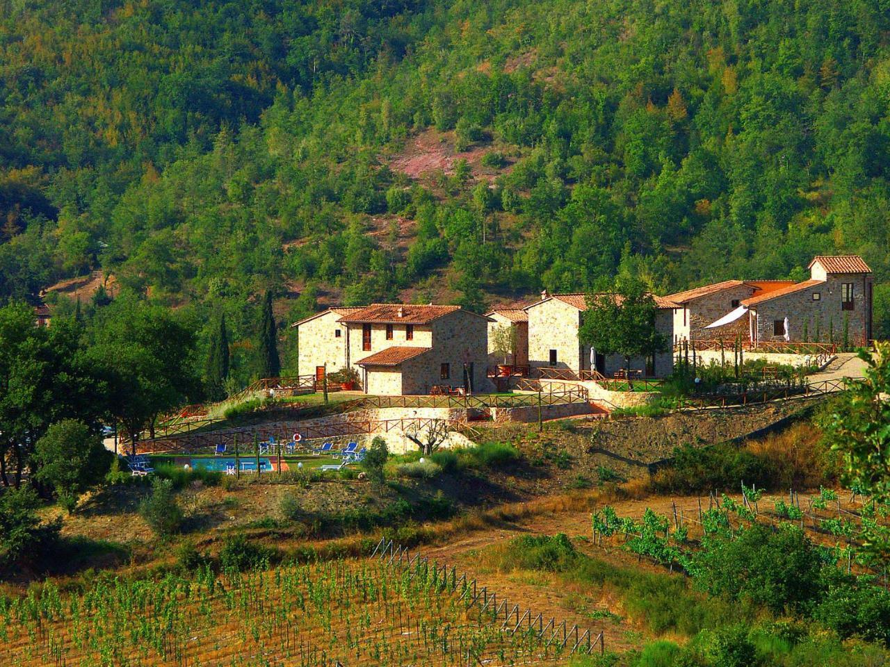 Holiday Home La Torre By Interhome Lucolena in Chianti Zewnętrze zdjęcie